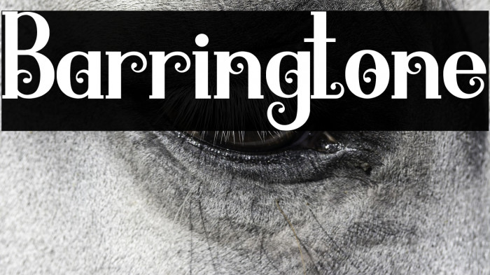 Barringtone Example 1