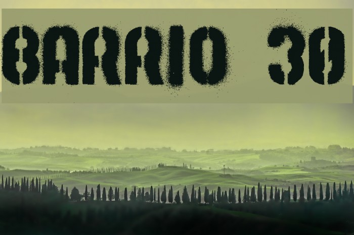 Barrio 30 Font examples