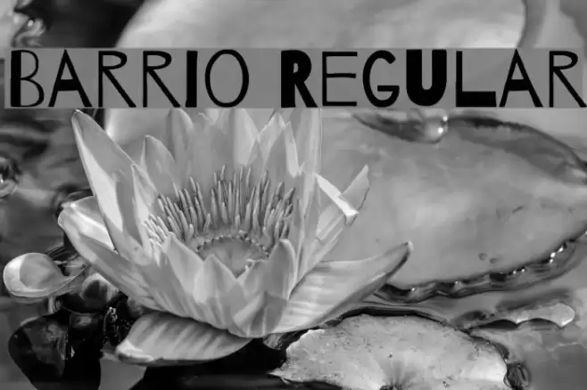 Barrio Regular Font examples