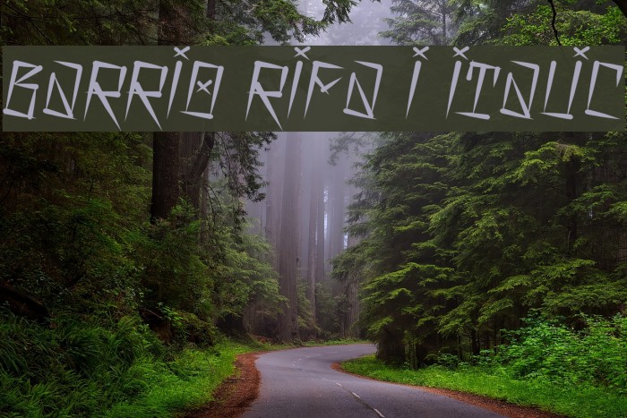 Barrio Rifa I Italic Font examples