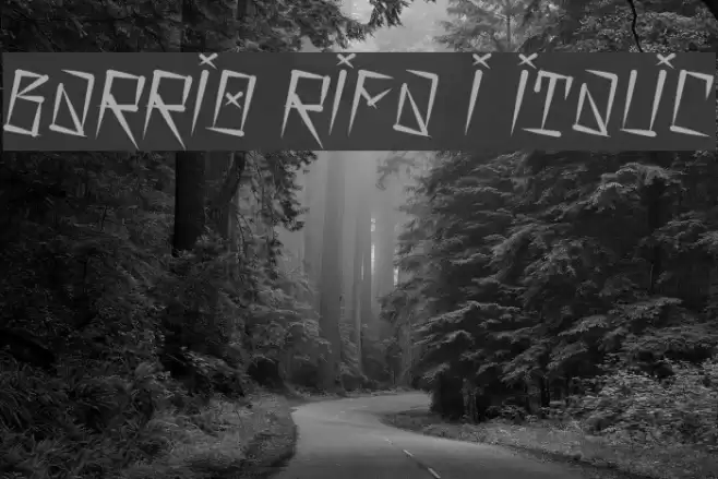 Barrio Rifa I Italic Font examples