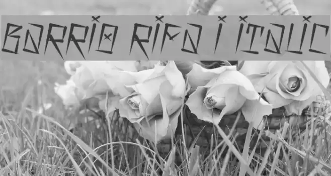 Barrio Rifa I Italic Font examples