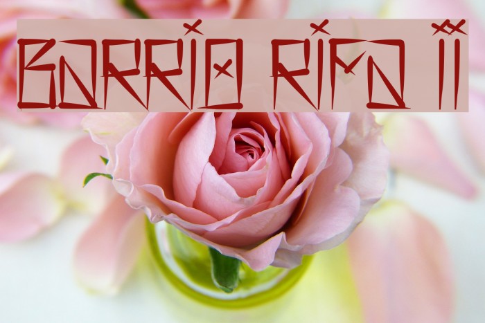 Barrio Rifa II Font examples
