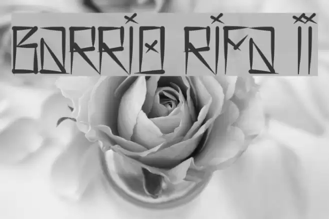 Barrio Rifa II Font examples