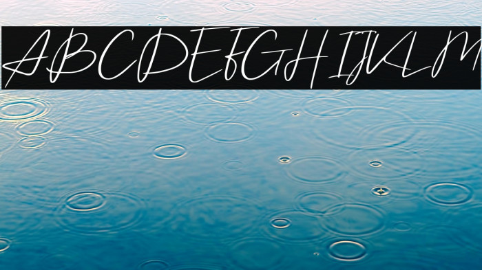 Barristar Demo Version Example 3