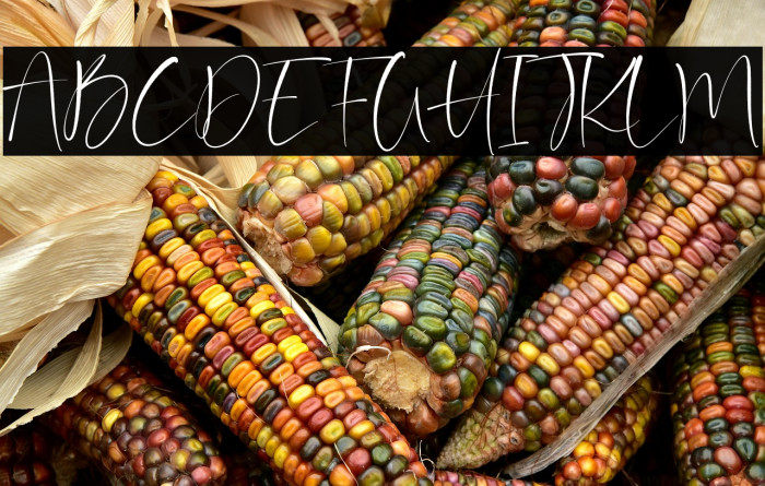 Barriton Paradise Example 1