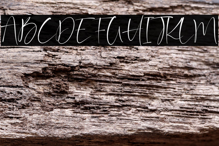 Barriton Paradise Example 2