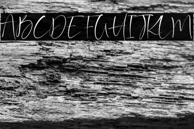 Barriton Paradise خط examples