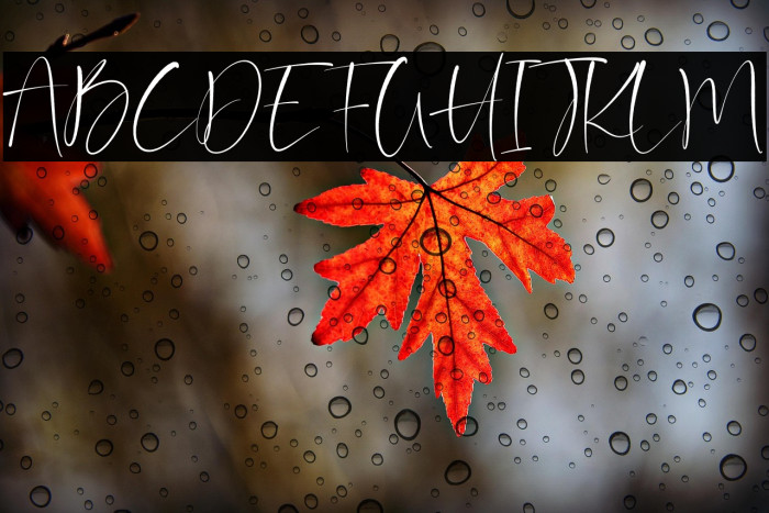 Barriton Paradise Example 3