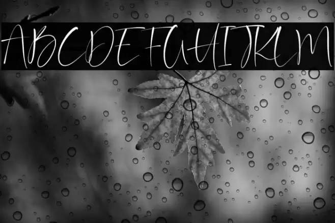 Barriton Paradise خط examples