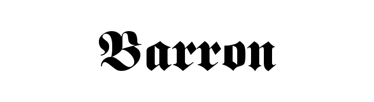 Barron Polices
