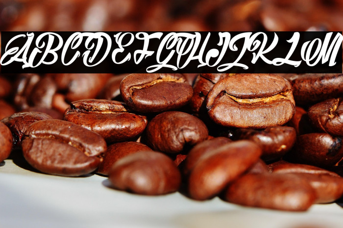 Barry Kades light_PersonalUseOnly Example 1