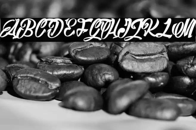 Barry Kades light_PersonalUseOnly Font examples