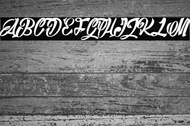 Barry Kades light_PersonalUseOnly Font examples