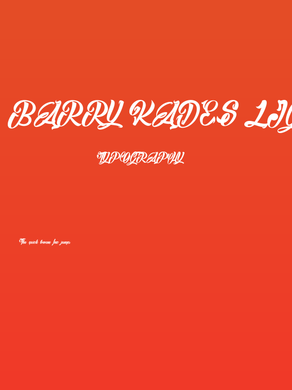 Barry Kades light_PersonalUseOnly Poster