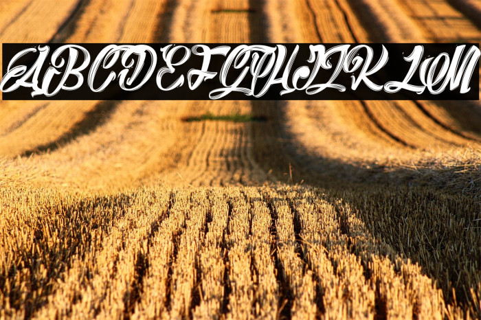 Barry Kades_PersonalUseOnly Example 3