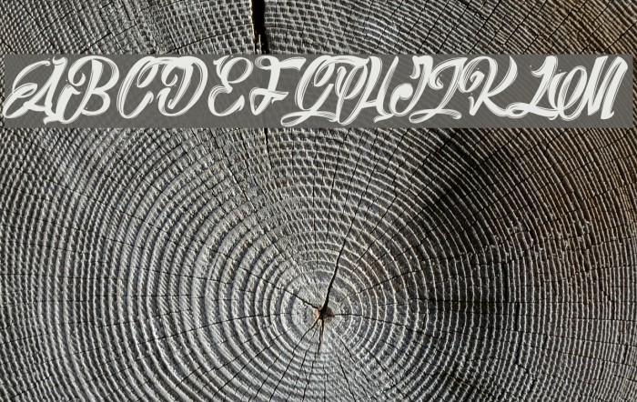 Barry Kades_PersonalUseOnly Font examples