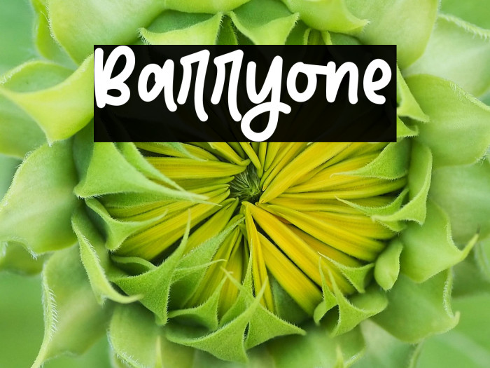 Barryone Example 1