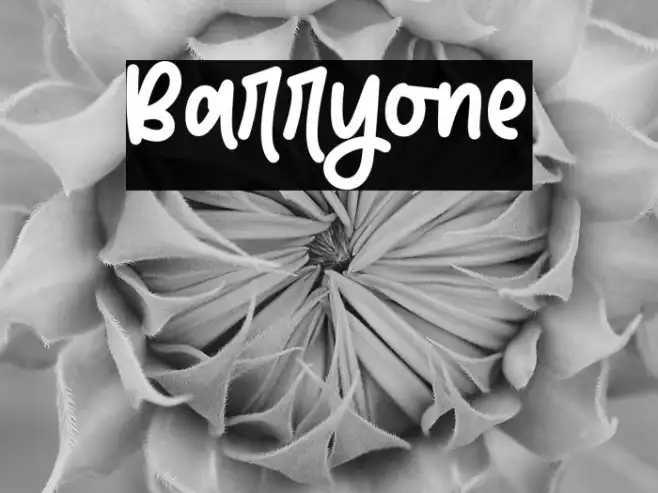 Barryone Example 1