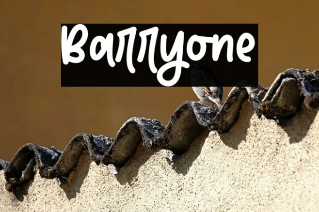Barryone Example 2