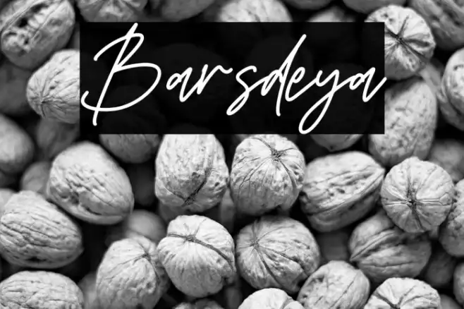 Barsdeya Example 1