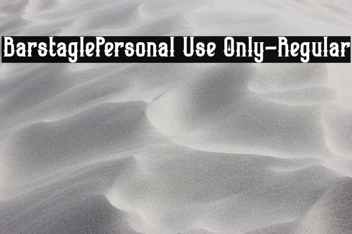 BarstaglePersonal Use Only-Regular Example 1