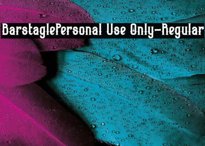 BarstaglePersonal Use Only-Regular Example 3