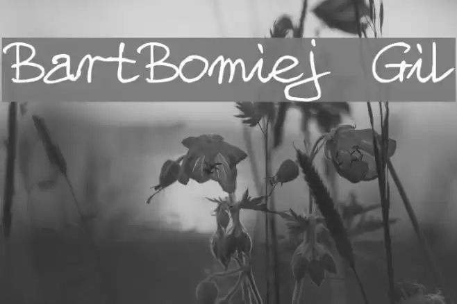 BartBomiej Gil Font examples