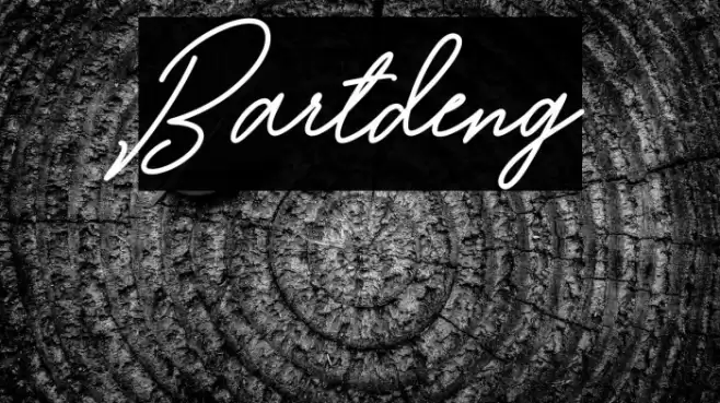 Bartdeng Font examples