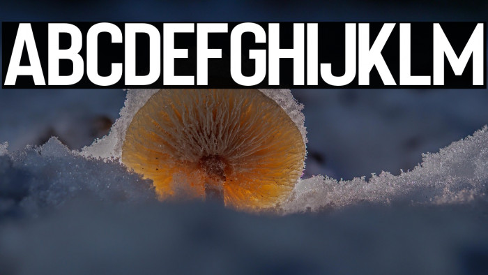 Bartenique Example 2