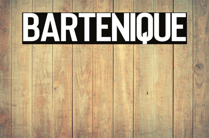 Bartenique Example 1