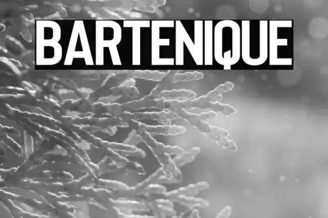 Bartenique Font examples