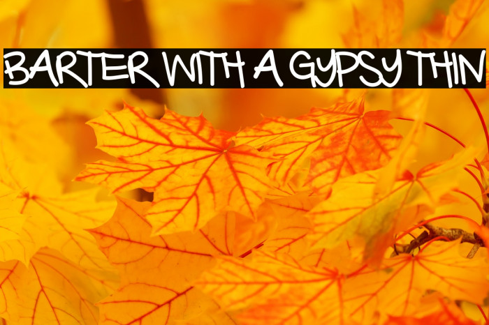 Barter with a Gypsy Thin Font examples