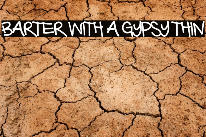 Barter with a Gypsy Thin Font examples