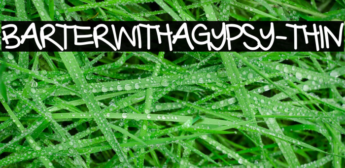 BarterwithaGypsy-Thin Font examples