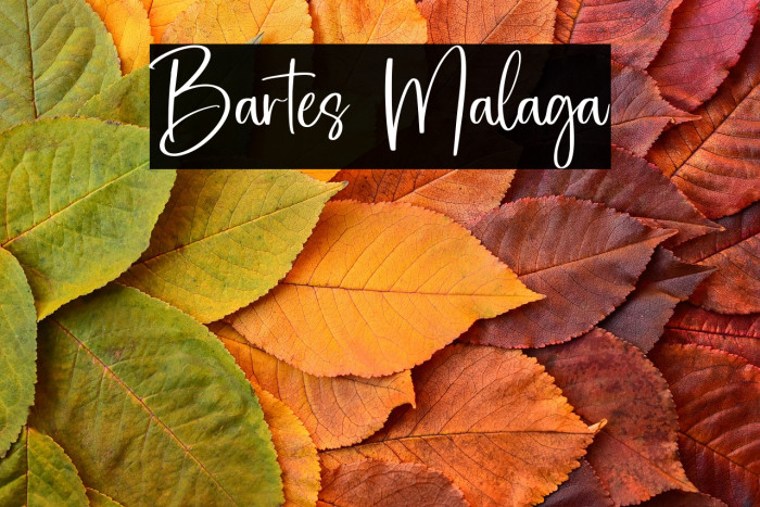 Bartes Malaga Example 2