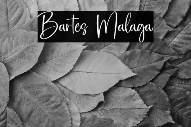 Bartes Malaga Font examples