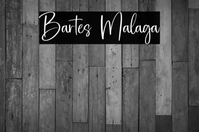 Bartes Malaga Font examples