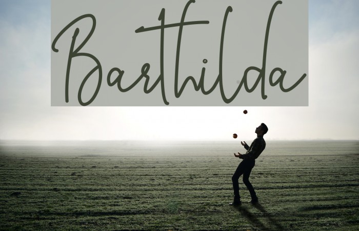 Barthilda Example 3