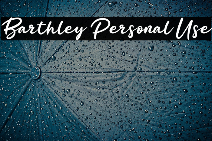 Barthley Personal Use Example 1