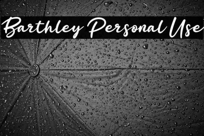 Barthley Personal Use Example 1
