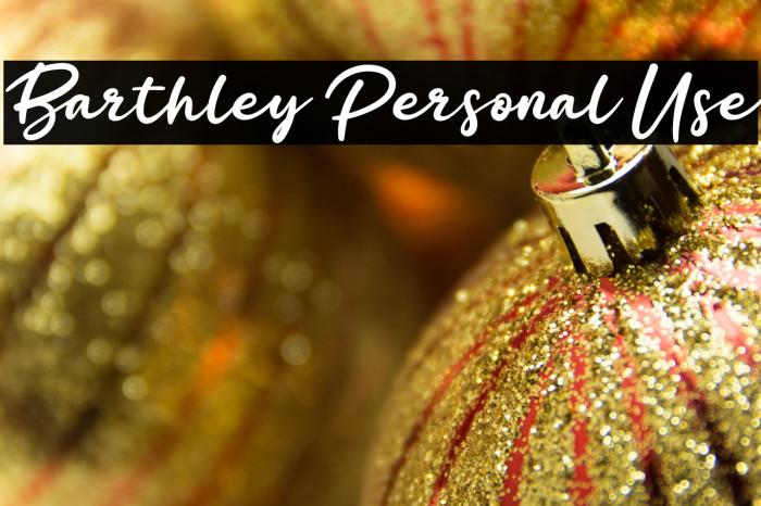 Barthley Personal Use Example 2