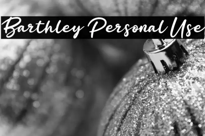 Barthley Personal Use Example 2
