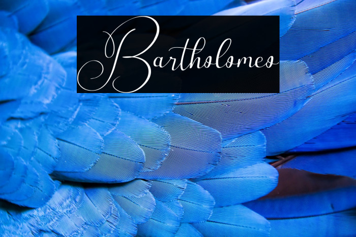 Bartholomeo Example 1