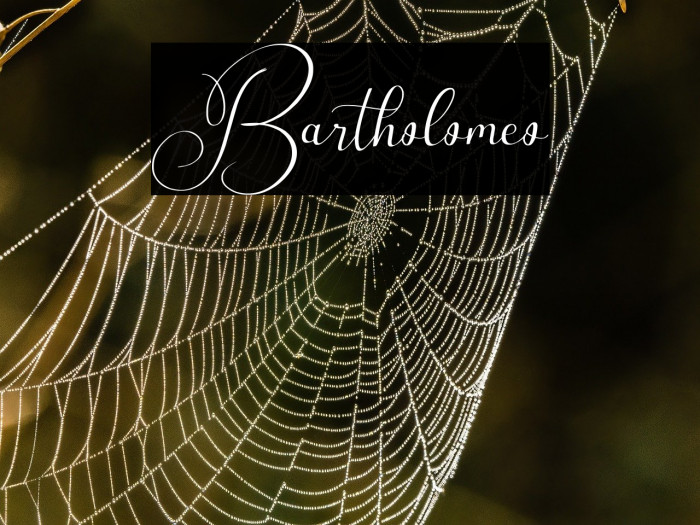 Bartholomeo Example 3