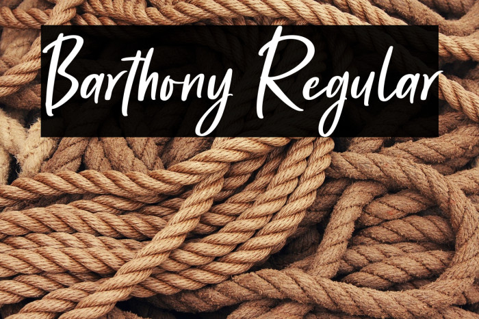 Barthony Regular Example 1