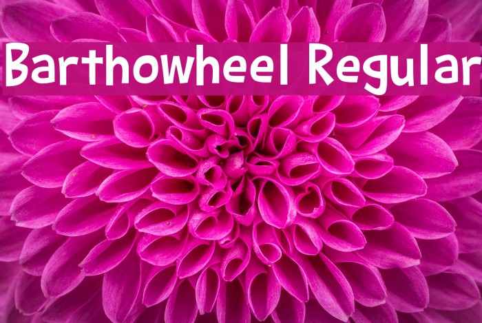 Barthowheel Regular Example 3