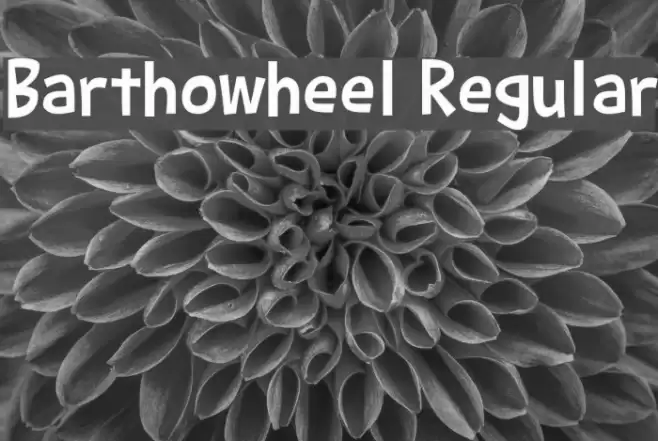 Barthowheel Regular Font examples