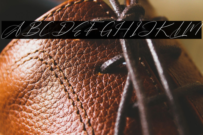 Barthwind DEMO VERSION Italic Example 1