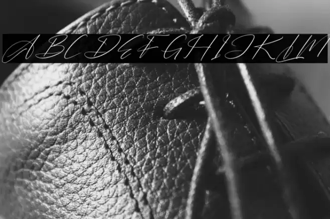 Barthwind DEMO VERSION Italic Font examples